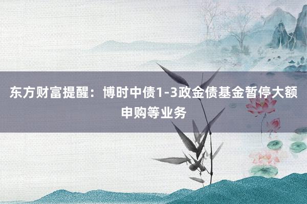 东方财富提醒：博时中债1-3政金债基金暂停大额申购等业务