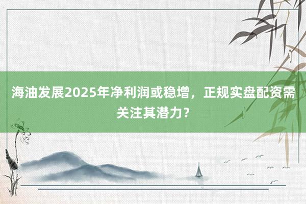 海油发展2025年净利润或稳增，正规实盘配资需关注其潜力？