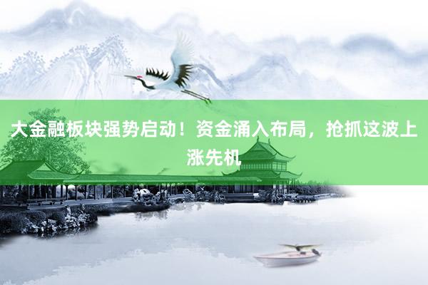 大金融板块强势启动！资金涌入布局，抢抓这波上涨先机