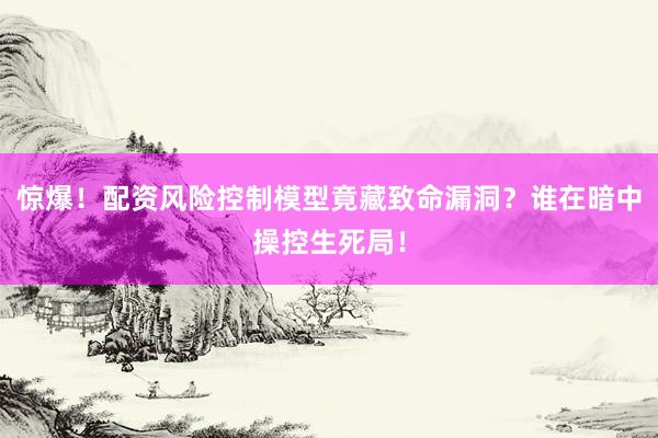 惊爆！配资风险控制模型竟藏致命漏洞？谁在暗中操控生死局！