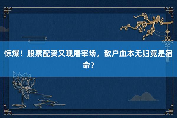 惊爆！股票配资又现屠宰场，散户血本无归竟是宿命？