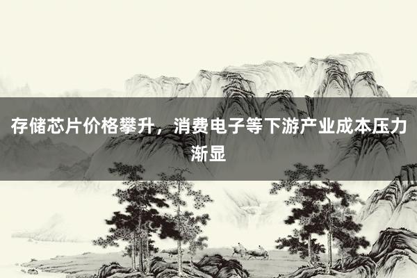 存储芯片价格攀升，消费电子等下游产业成本压力渐显