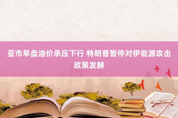 亚市早盘油价承压下行 特朗普暂停对伊能源攻击政策发酵