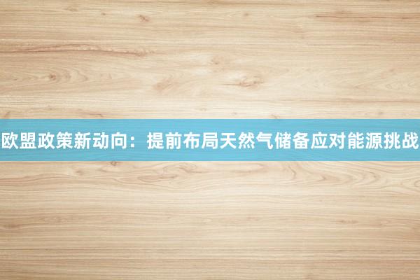 欧盟政策新动向：提前布局天然气储备应对能源挑战
