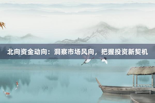 北向资金动向：洞察市场风向，把握投资新契机
