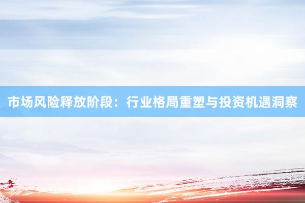 市场风险释放阶段：行业格局重塑与投资机遇洞察