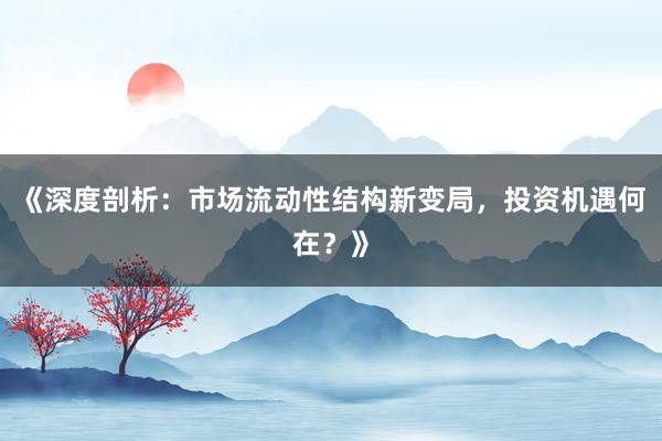 《深度剖析：市场流动性结构新变局，投资机遇何在？》
