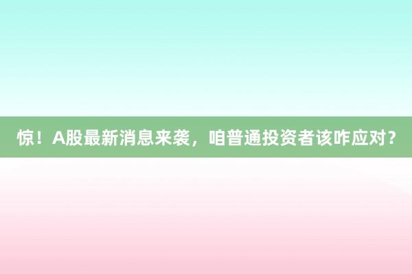 惊！A股最新消息来袭，咱普通投资者该咋应对？