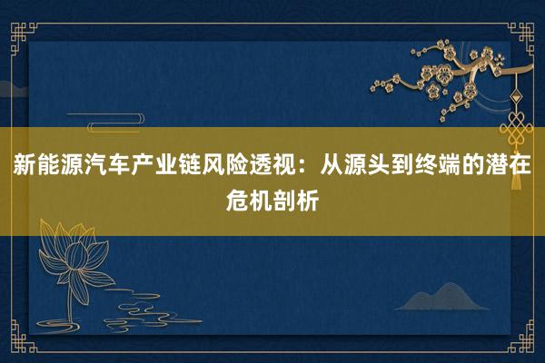 新能源汽车产业链风险透视：从源头到终端的潜在危机剖析