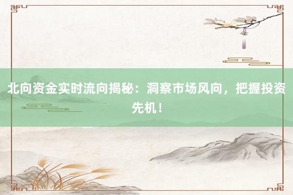 北向资金实时流向揭秘：洞察市场风向，把握投资先机！