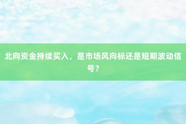 北向资金持续买入，是市场风向标还是短期波动信号？
