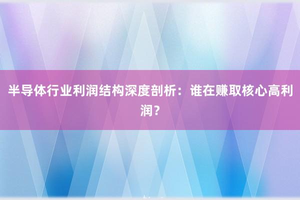 半导体行业利润结构深度剖析：谁在赚取核心高利润？
