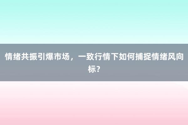 情绪共振引爆市场，一致行情下如何捕捉情绪风向标？