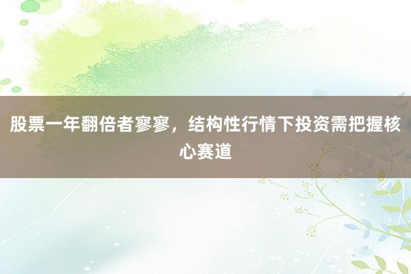 股票一年翻倍者寥寥,结构性行情下投资需把握核心赛道