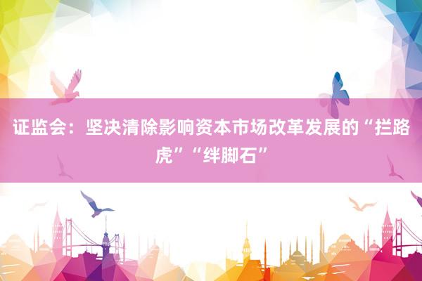证监会:坚决清除影响资本市场改革发展的“拦路虎”“绊脚石”