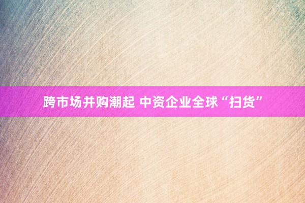 跨市场并购潮起 中资企业全球“扫货”