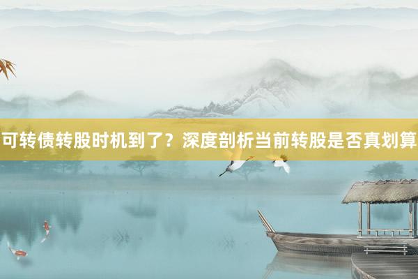 可转债转股时机到了?深度剖析当前转股是否真划算