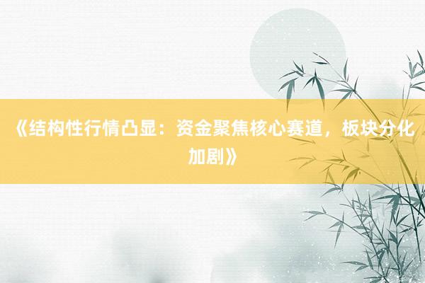 《结构性行情凸显：资金聚焦核心赛道，板块分化加剧》