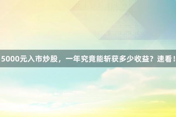 5000元入市炒股，一年究竟能斩获多少收益？速看！