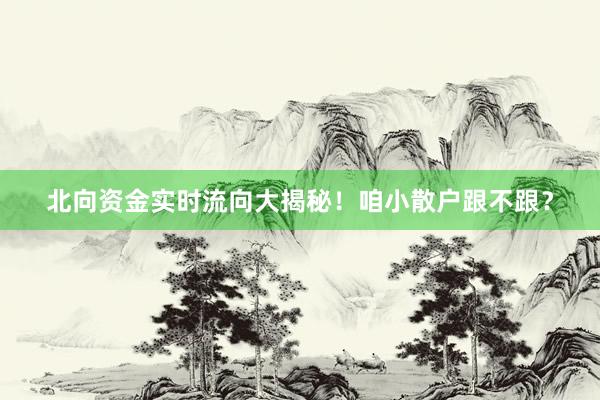 北向资金实时流向大揭秘!咱小散户跟不跟?