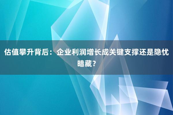 估值攀升背后：企业利润增长成关键支撑还是隐忧暗藏？