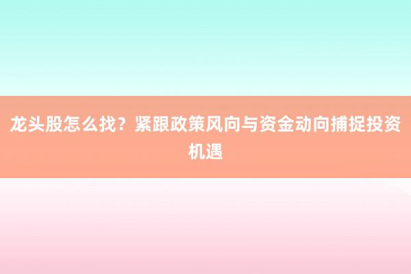 龙头股怎么找？紧跟政策风向与资金动向捕捉投资机遇