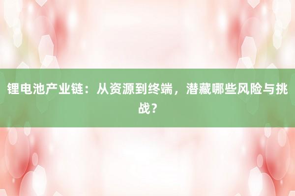 锂电池产业链：从资源到终端，潜藏哪些风险与挑战？