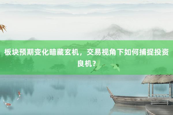 板块预期变化暗藏玄机，交易视角下如何捕捉投资良机？