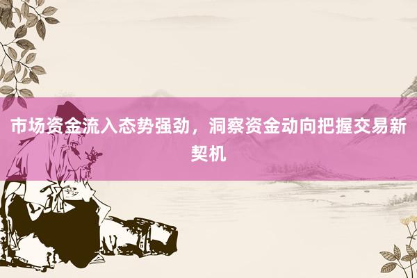 市场资金流入态势强劲，洞察资金动向把握交易新契机