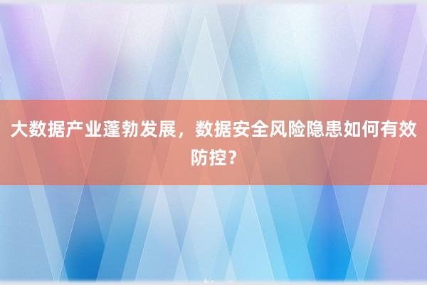 大数据产业蓬勃发展，数据安全风险隐患如何有效防控？