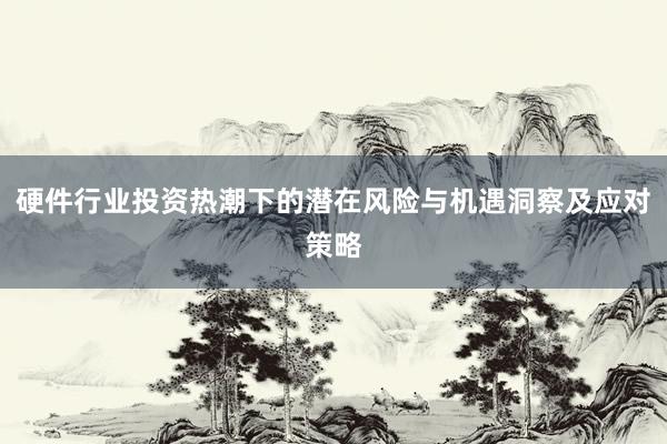 硬件行业投资热潮下的潜在风险与机遇洞察及应对策略