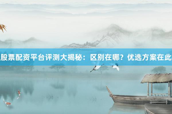 股票配资平台评测大揭秘：区别在哪？优选方案在此